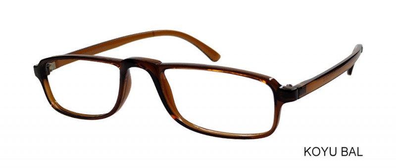 OptiFlex 313 C02