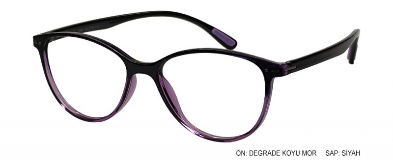RAGLER 1004 C29
