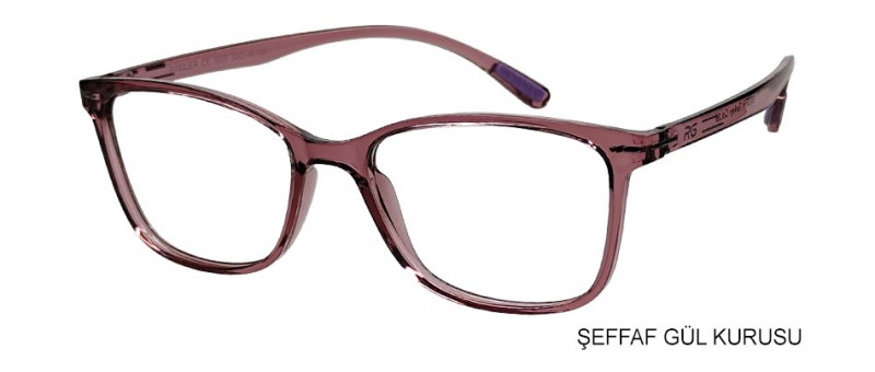 RAGLER 1005 C28