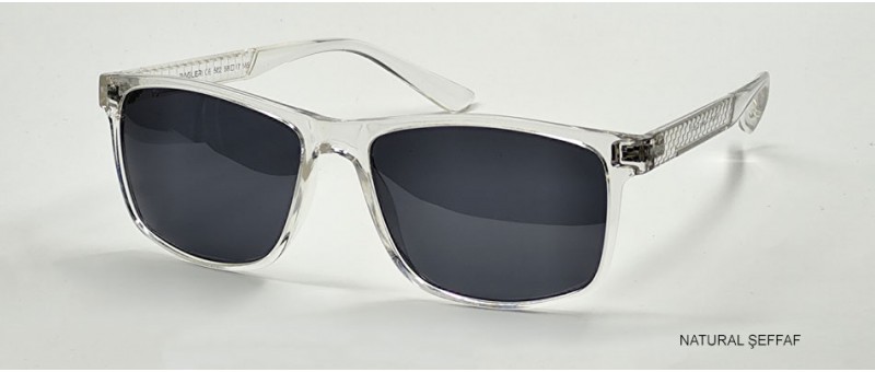 RAGLER 502 C11