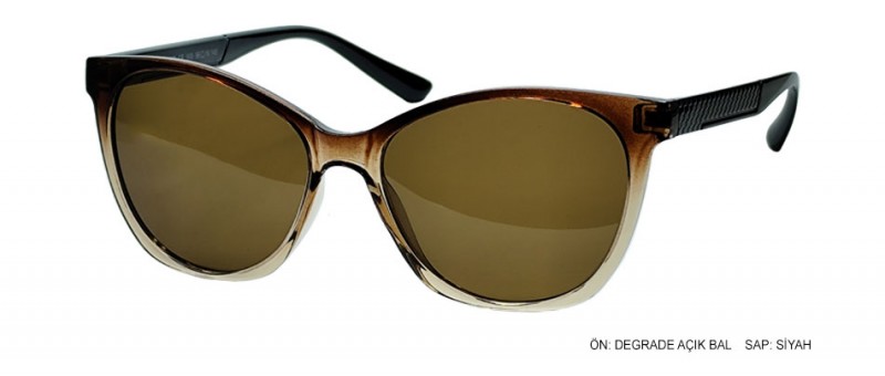 RAGLER 503 C03