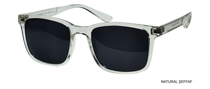 RAGLER 504 C11