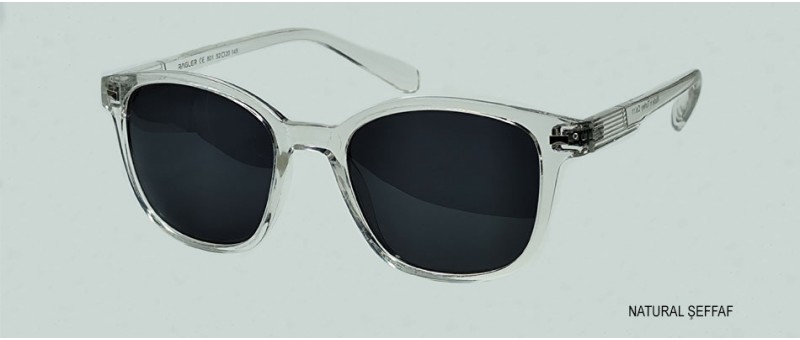 RAGLER 801 C11