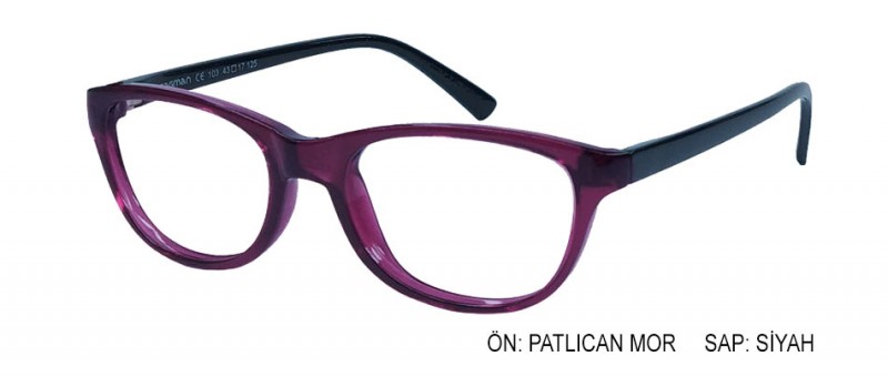 OptiFlex 103 C29