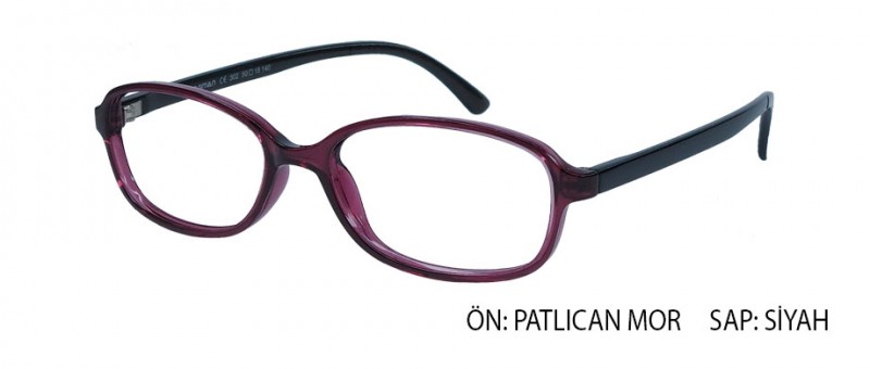 OptiFlex 302 C29