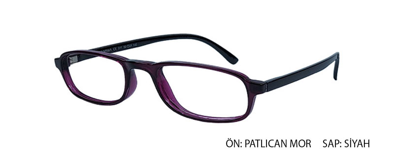 OptiFlex 311 C29