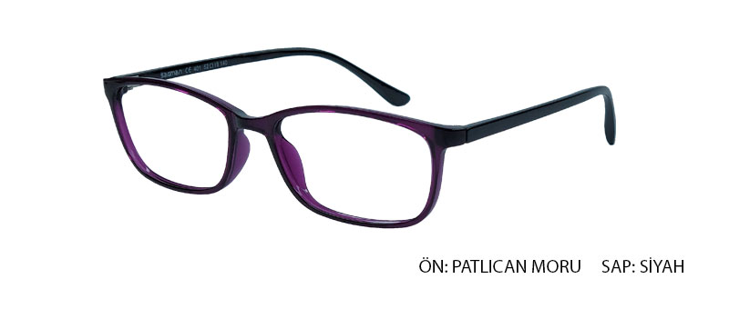 OptiFlex 401 C29