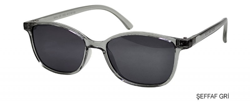OptiFlex 1302 C04 GÜNEŞ