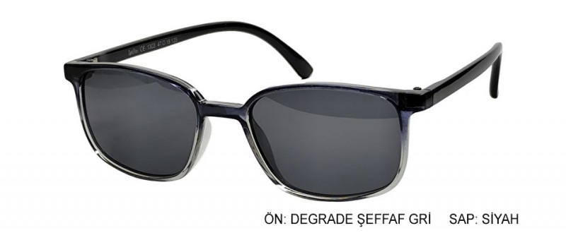 OptiFlex 1303 C19 GÜNEŞ